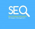 Search engine optimization