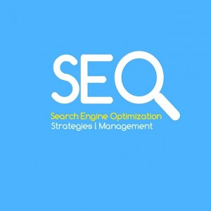 Search engine optimization 